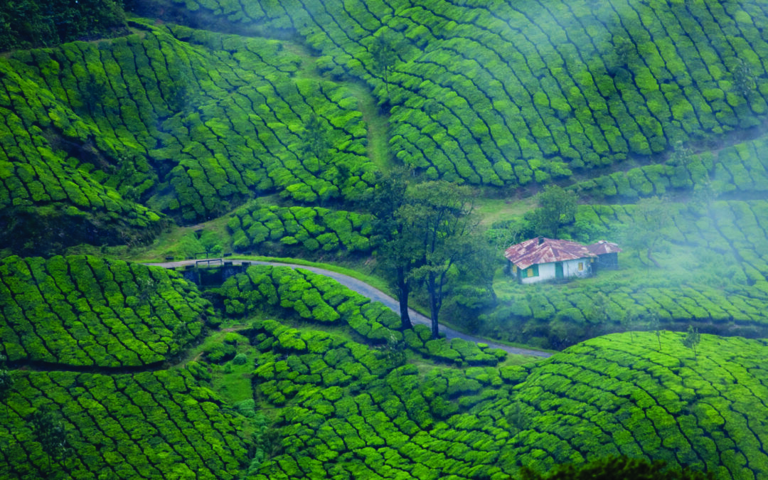 Munnar