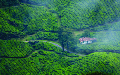 Munnar