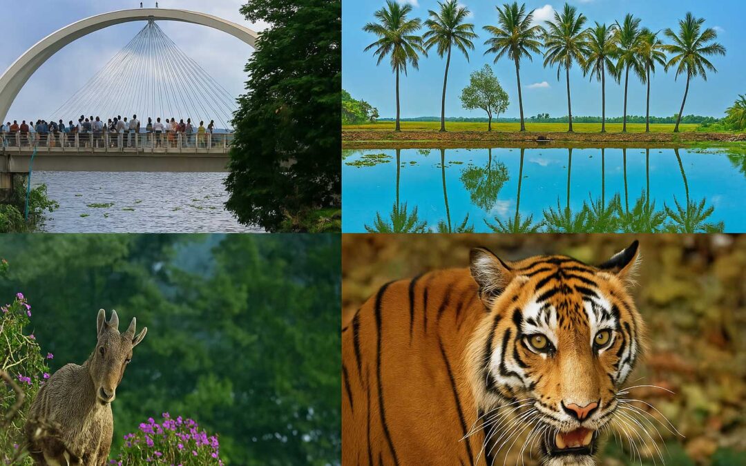 Kerala Hills & Backwaters