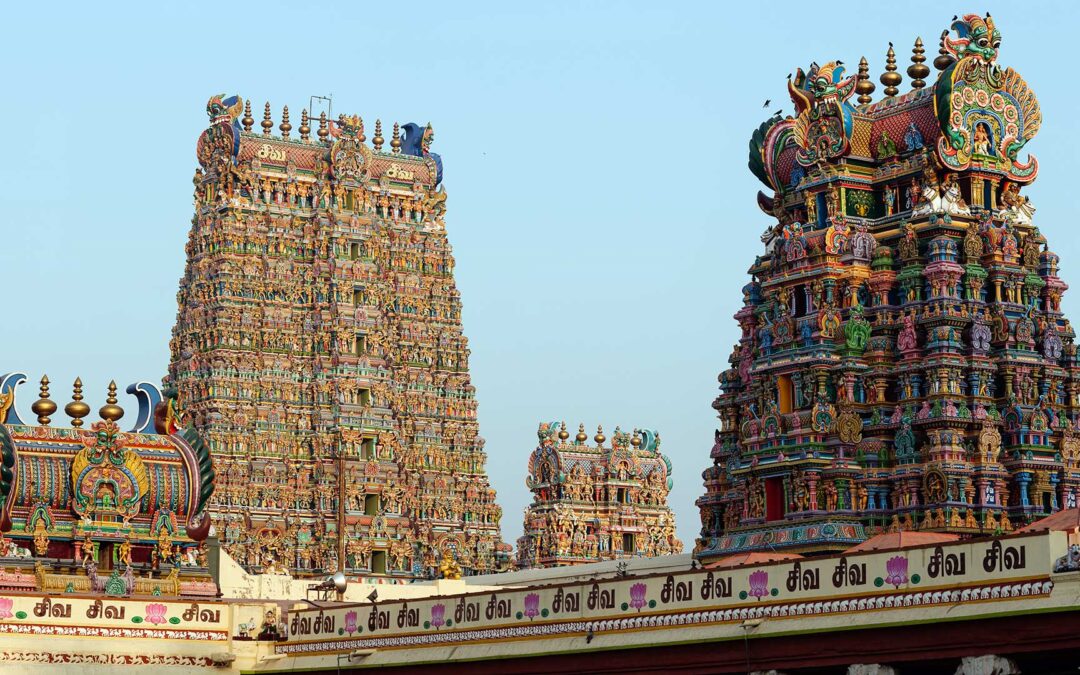 Dravidian Heritage Tour